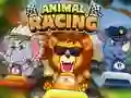Žaidimas Animal Racing internete