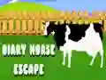 Žaidimas Diary Horse Escape internete