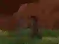 Žaidimas Phase Ninja internete