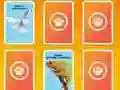 Žaidimas National Geographic Kids Matching internete