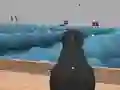 Žaidimas Ships 3D internete
