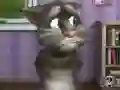 Žaidimas Talking Tom Cat 2 internete