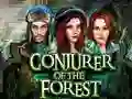 Žaidimas Conjurer Of The Forest internete