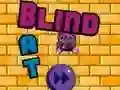 Žaidimas Blind Bat internete