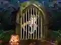 Žaidimas Cute Pirate Girl Escape internete