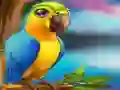 Žaidimas Little Parrot Escape internete