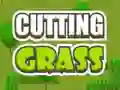 Žaidimas Cutting Grass internete