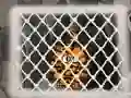 Žaidimas Tiger Escape 1 internete