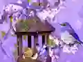 Žaidimas Wonderful Humming Bird Land Escape internete