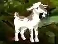 Žaidimas Searching Goat Child internete