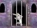 Žaidimas Victory Rabbit Escape internete