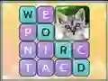 Žaidimas Word Search Pictures internete