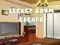 Žaidimas Secret Room Escape internete