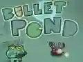 Žaidimas Bullet Pond internete