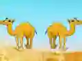 Žaidimas Desert Gold Rush The Great Treasure Escape internete