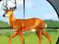 Žaidimas Wild Hunt Hunting Games 3D internete