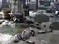 Žaidimas Friends Rescue From Skeleton internete