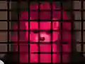 Žaidimas Porcupine Cage Breakout internete