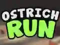 Žaidimas Ostrich Run internete