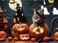Žaidimas Jigsaw Puzzle: Halloween Cat internete