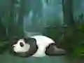 Žaidimas Wakeup The Sleeping Panda internete