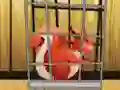 Žaidimas Rescue The Red Squirrel From Cage internete