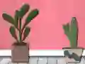 Žaidimas Find Houseplant internete