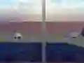 Žaidimas Escape from the House with Turtles internete