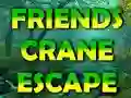 Žaidimas Friends Crane Escape internete