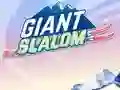 Žaidimas Giant Slalom internete