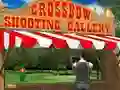 Žaidimas Crossbow Shooting Gallery internete