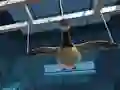 Žaidimas Goose Museum internete