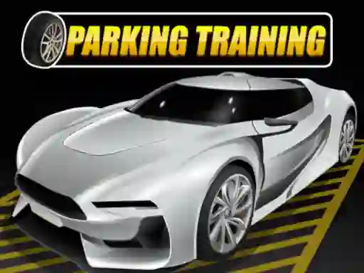 Žaidimas Parking Training internete