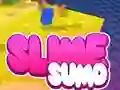 Žaidimas Sumo Slime 3D internete
