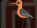 Žaidimas Cute Godwit Escape internete