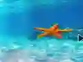 Žaidimas Escape From Underwater Starfish internete