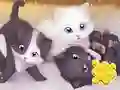 Žaidimas Jigsaw Puzzle: Playing Cats internete