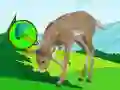 Žaidimas The Deer Meadow Escape internete