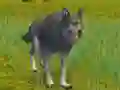 Žaidimas The Wolf: Wild Animal Simulator internete