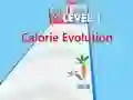 Žaidimas Calorie Evolution internete