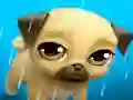 Žaidimas My Virtual Pet Louie the Pug internete