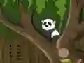 Žaidimas Panda Jungle Escape internete