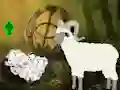 Žaidimas Help The Baby Sheep internete