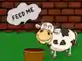 Žaidimas Find The Cow Feed internete