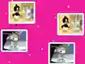 Žaidimas Baby Looney Tunes Match Up internete