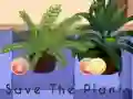 Žaidimas Save the Plants internete