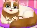 Žaidimas Cute Kitty Pregnant internete