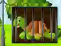 Žaidimas Turtle Fiery Escape internete