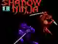 Žaidimas Shadow of the Ninja internete