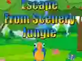 Žaidimas Escape from Scenery Jungle internete